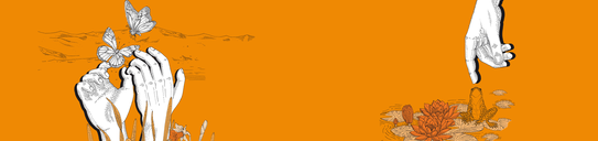 Medienportal Medienportal