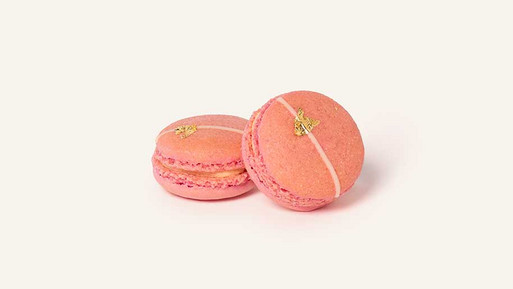 wei rosane Sarti-Macarons mit heller Cremefüllung, dekoriert mit einem feinen Streifen aus weißer Schokolade und einem kleinen Akzent aus Blattgold auf der Oberseite, vor hellem Hintergrund.